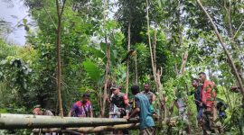 Babinsa Desa Golo Sepang Dan Babinsa Desa Golo Ketak Kolaborasi membangun Jembatan Darurat bersama Warga