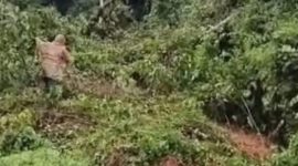 Akses Transportasi Bambor-Werang dan Langgo putus total, tumpukan Tanah longsor menutupi beberapa titik diwilayah Kecamatan Mbeliling dan Sano Nggoang