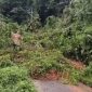 Akses Transportasi Bambor-Werang dan Langgo putus total, tumpukan Tanah longsor menutupi beberapa titik diwilayah Kecamatan Mbeliling dan Sano Nggoang