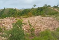 Aksi para mafia Tanah di Labuan Bajo, 10 Plang diatas tanah milik salah satu warga di Labuan Bajo dicabut orang yang tidak di kenal. 