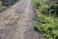 Kondisi Pekerjaan Jalan Lapis Penetrasi (Lapen) Werang - Paku.