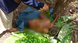 Korban Terbakar di Kecamatan Sano Nggoang