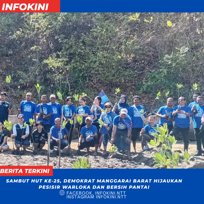 Demokrat Mabar Tanam Mangrove dan Bersih Pantai di Labuan Bajo.
