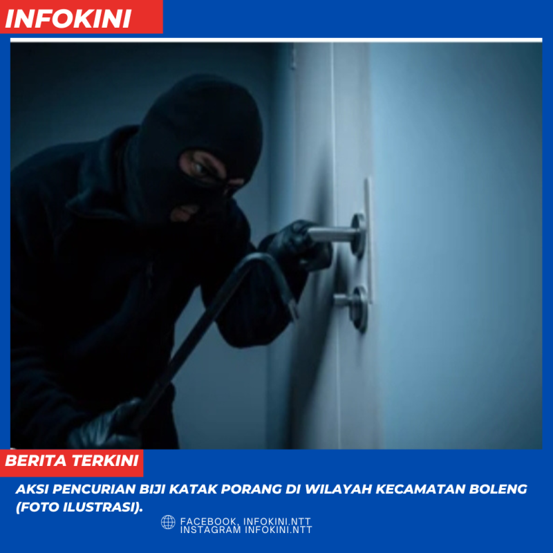 Pelaku Pencurian Biji Katak Porang Membobol Gembok Gudang milik seorang Karyawan Swasta di Desa Golo Lujang (foto ilustrasi).