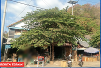 Lapak yang diberi sewakan oleh Oknum ASN kepada masyarakat.