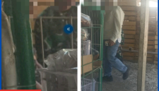 Seorang ASN di Mabar yang datangi Lapak pedagang untuk dikosongkan.