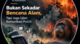 Menakar Komunikasi Krisis di Balik Kabut Asap Kalimantan.
Ket foto: Ilustrasi kebakaran Hutan di Kalimantan).