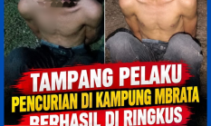 berita-pilihan-foto